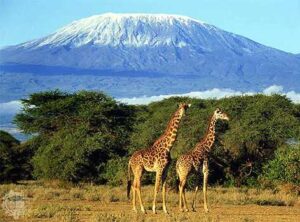Train to Climb Kilimanjaro