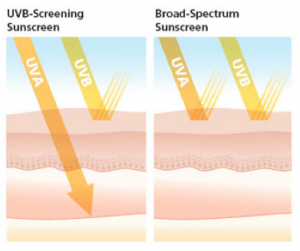 UV ray penetration and sunblock